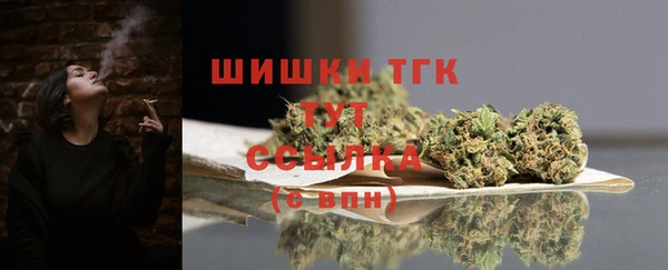 индика Аркадак