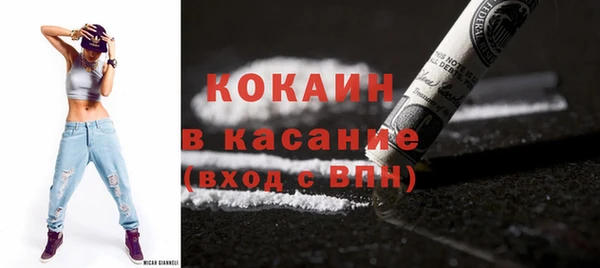 индика Аркадак