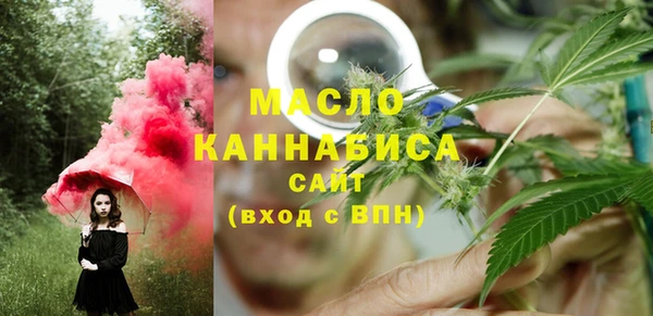 индика Аркадак