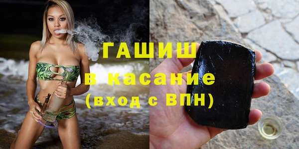 индика Аркадак