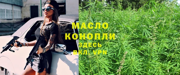 индика Аркадак