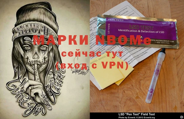 индика Аркадак