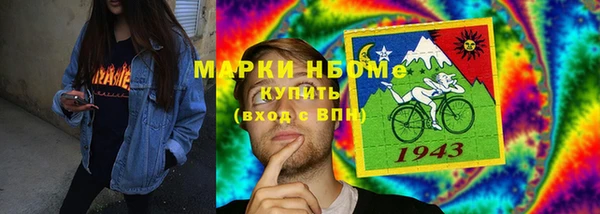 индика Аркадак