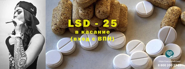 индика Аркадак