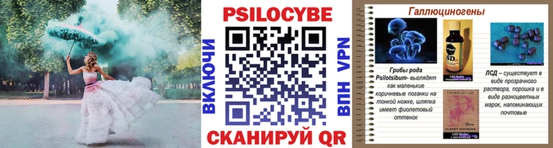 Галлюциногенные грибы мухоморы  как найти закладки  Петропавловск-Камчатский 